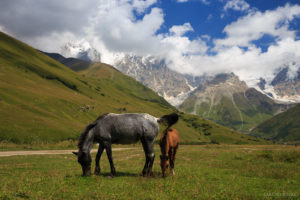 Shkhara, Ushguli, Svanetia, Georgia