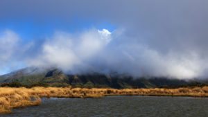 New Zealand - North Island